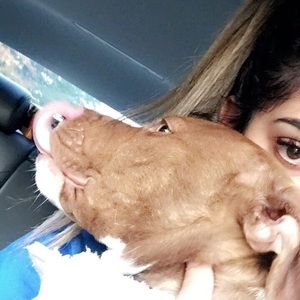 Meet your Posher, Harneet